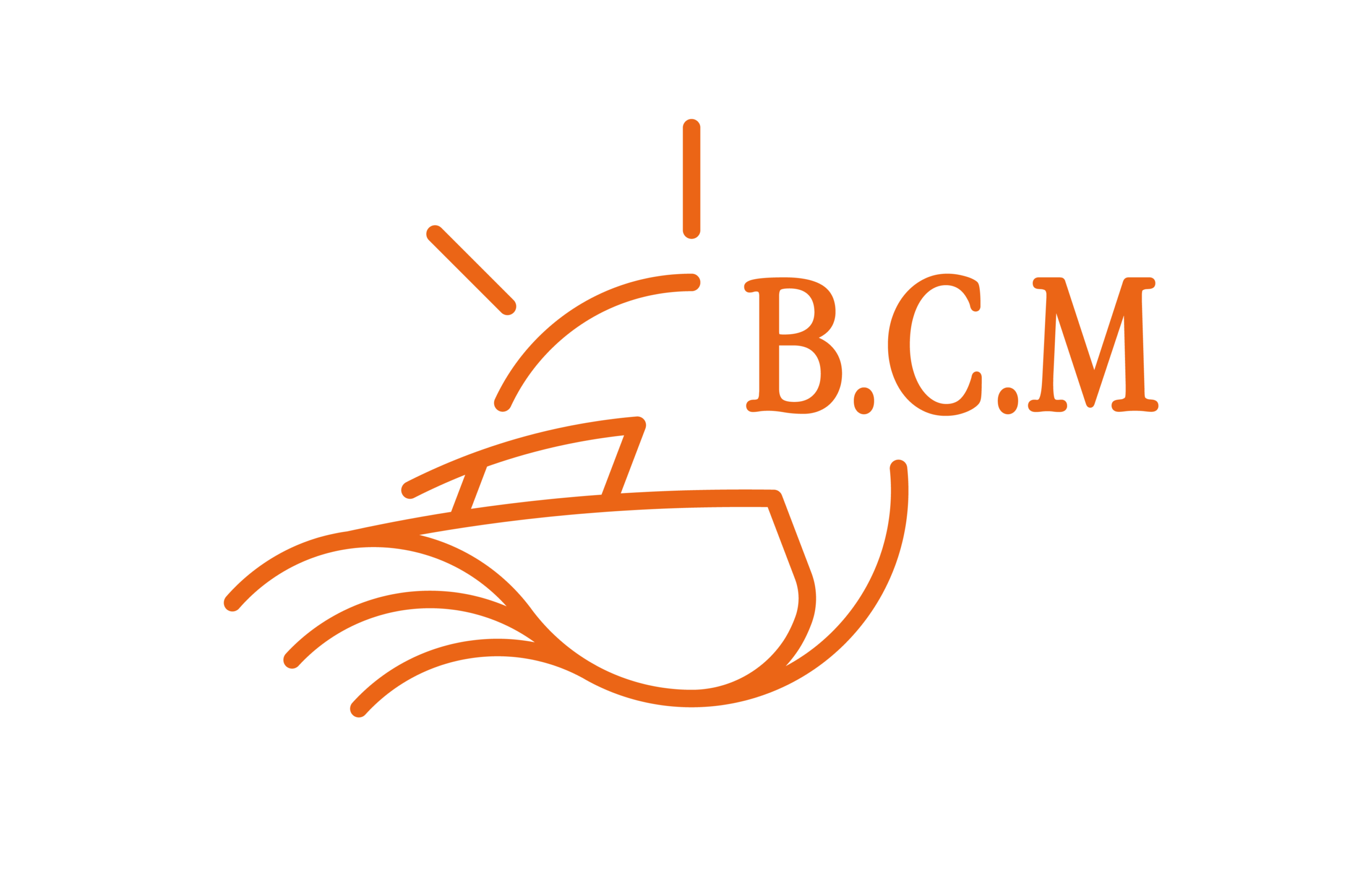 BCM GROUPE